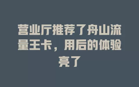 营业厅推荐了舟山流量王卡，用后的体验亮了