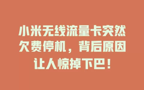 小米无线流量卡突然欠费停机，背后原因让人惊掉下巴！
