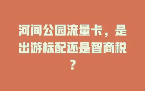 河间公园流量卡，是出游标配还是智商税？