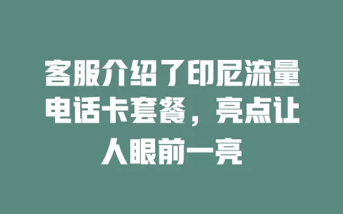 客服介绍了印尼流量电话卡套餐,亮点让人眼前一亮