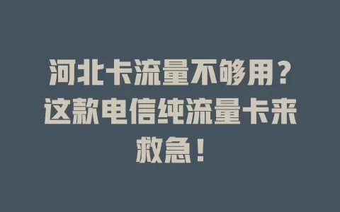 河北卡流量不够用？这款电信纯流量卡来救急！