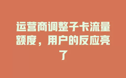 运营商调整子卡流量额度，用户的反应亮了