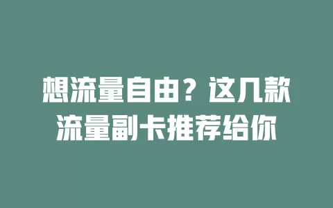 想流量自由？这几款流量副卡推荐给你