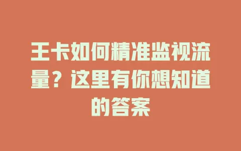 王卡如何精准监视流量?这里有你想知道的答案