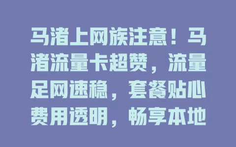 马渚上网族注意！马渚流量卡超赞，流量足网速稳，套餐贴心费用透明，畅享本地优质网络