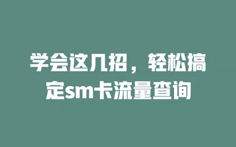 学会这几招，轻松搞定sm卡流量查询