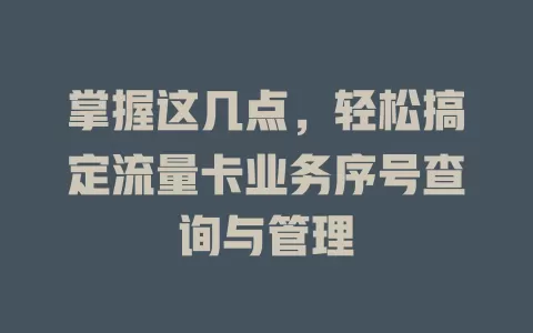 掌握这几点，轻松搞定流量卡业务序号查询与管理