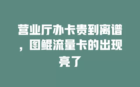 营业厅办卡贵到离谱，图鲲流量卡的出现亮了