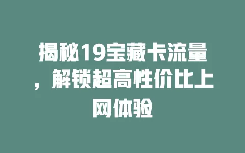 揭秘19宝藏卡流量，解锁超高性价比上网体验