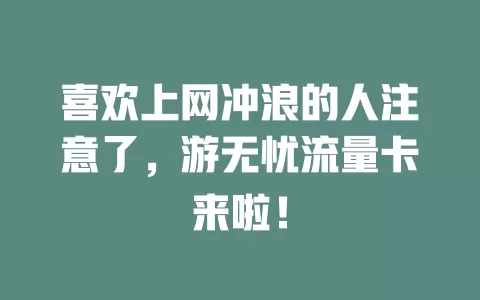 喜欢上网冲浪的人注意了，游无忧流量卡来啦！