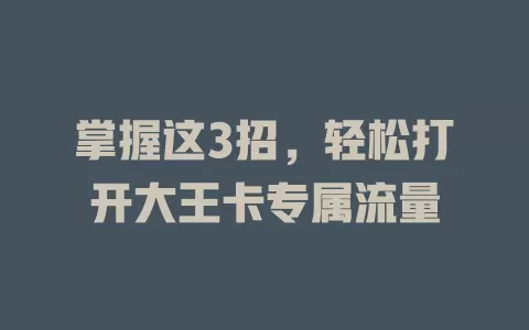 掌握这3招,轻松打开大王卡专属流量