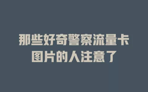 那些好奇警察流量卡图片的人注意了