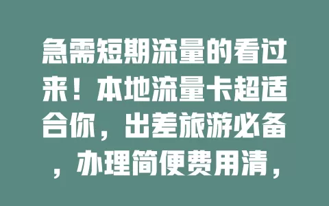 急需短期流量的看过来！本地流量卡超适合你，出差旅游必备，办理简便费用清，按需选卡畅享本地网络便利