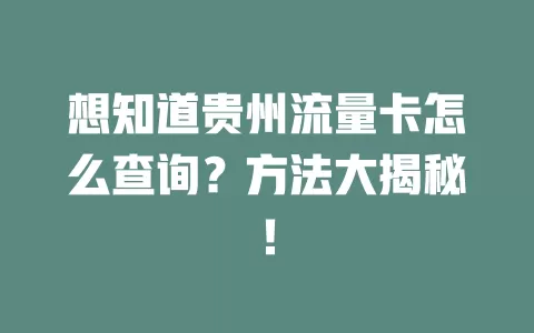 想知道贵州流量卡怎么查询？方法大揭秘！