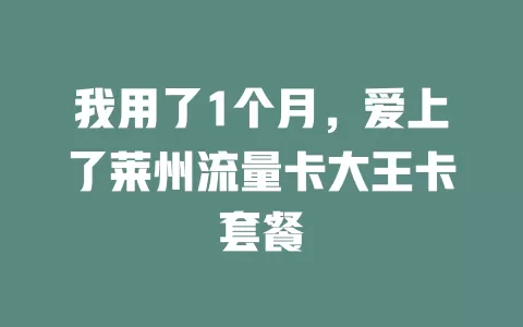 我用了1个月，爱上了莱州流量卡大王卡套餐