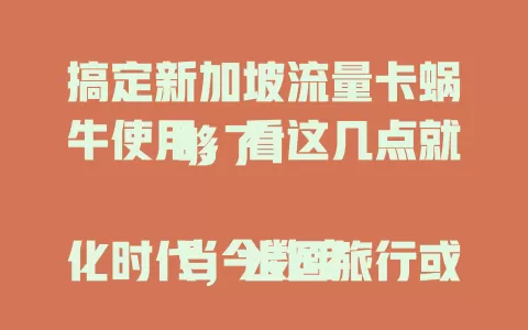 搞定新加坡流量卡蜗牛使用，看这几点就够了！

当今数字化时代，出国旅行或出差，网络畅通很重要。新加坡流量卡蜗牛是不错选择，套餐多样，网络覆盖广，操作便捷，客服贴心。根据自身情况选对套餐，让你在新加坡网络生活更顺畅！