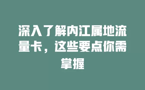 深入了解内江属地流量卡，这些要点你需掌握
