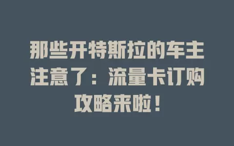 那些开特斯拉的车主注意了：流量卡订购攻略来啦！