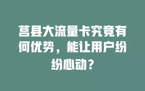 莒县大流量卡究竟有何优势，能让用户纷纷心动？