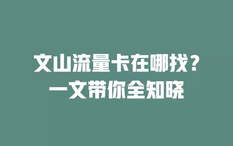 文山流量卡在哪找？一文带你全知晓