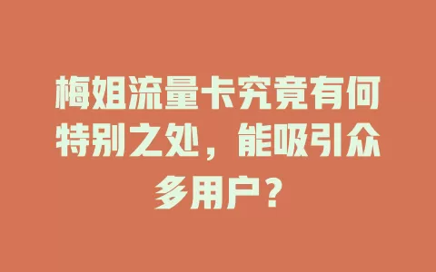 梅姐流量卡究竟有何特别之处，能吸引众多用户？