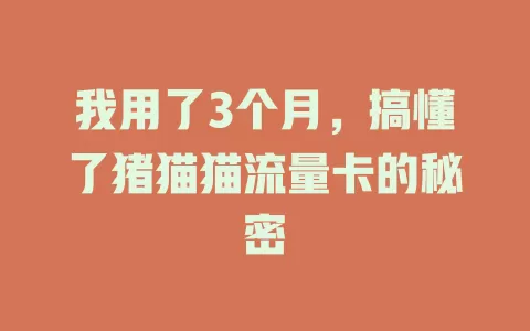 我用了3个月，搞懂了猪猫猫流量卡的秘密