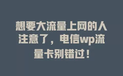 想要大流量上网的人注意了，电信wp流量卡别错过！