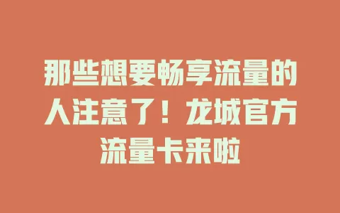 那些想要畅享流量的人注意了！龙城官方流量卡来啦