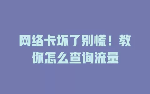网络卡坏了别慌！教你怎么查询流量