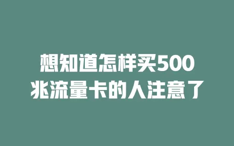 想知道怎样买500兆流量卡的人注意了