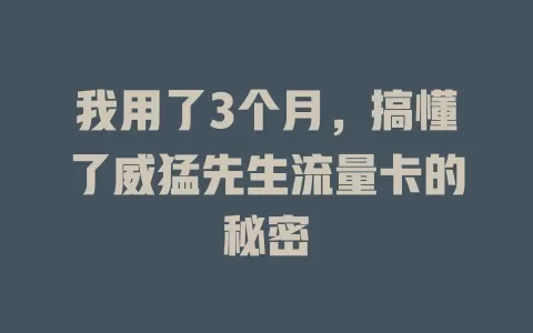 我用了3个月，搞懂了威猛先生流量卡的秘密