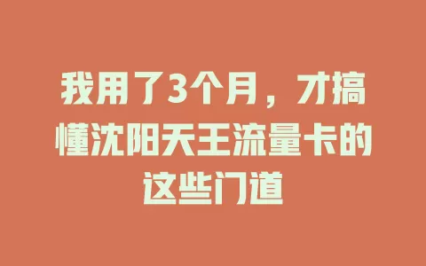 我用了3个月，才搞懂沈阳天王流量卡的这些门道