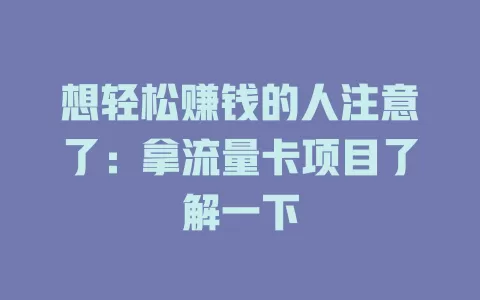 想轻松赚钱的人注意了：拿流量卡项目了解一下