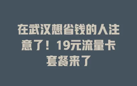 在武汉想省钱的人注意了！19元流量卡套餐来了
