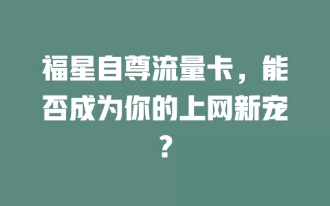 福星自尊流量卡，能否成为你的上网新宠？