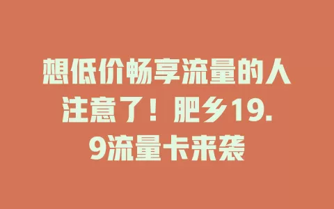 想低价畅享流量的人注意了！肥乡19.9流量卡来袭