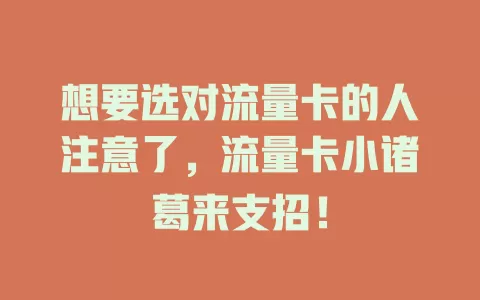想要选对流量卡的人注意了,流量卡小诸葛来支招!