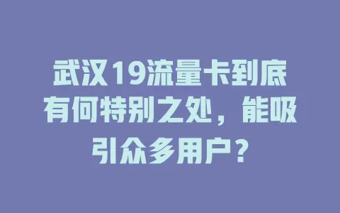武汉19流量卡到底有何特别之处，能吸引众多用户？