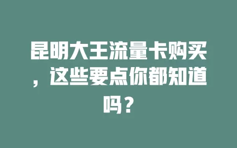 昆明大王流量卡购买，这些要点你都知道吗？