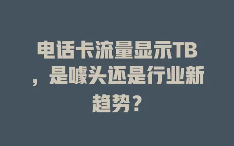 电话卡流量显示TB，是噱头还是行业新趋势？