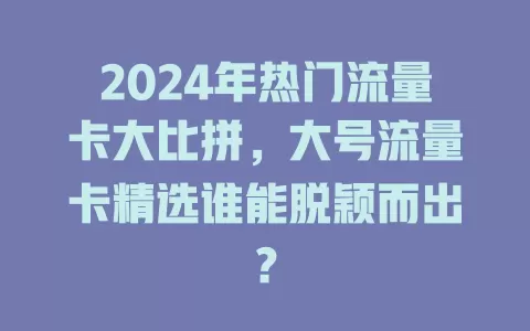 2024年热门流量卡大比拼，大号流量卡精选谁能脱颖而出？