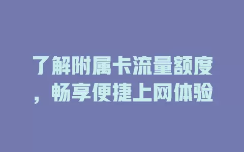 了解附属卡流量额度，畅享便捷上网体验