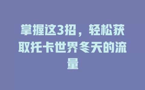 掌握这3招，轻松获取托卡世界冬天的流量