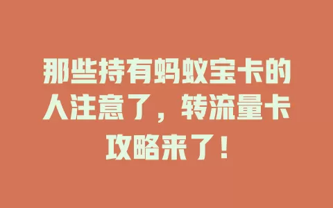 那些持有蚂蚁宝卡的人注意了，转流量卡攻略来了！