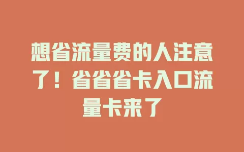 想省流量费的人注意了！省省省卡入口流量卡来了