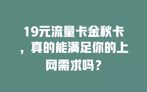 19元流量卡金秋卡，真的能满足你的上网需求吗？