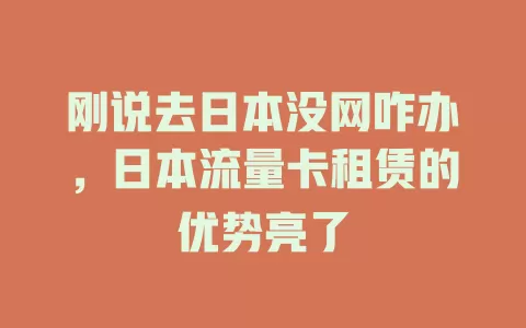 刚说去日本没网咋办，日本流量卡租赁的优势亮了