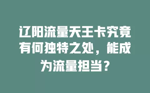 辽阳流量天王卡究竟有何独特之处，能成为流量担当？
