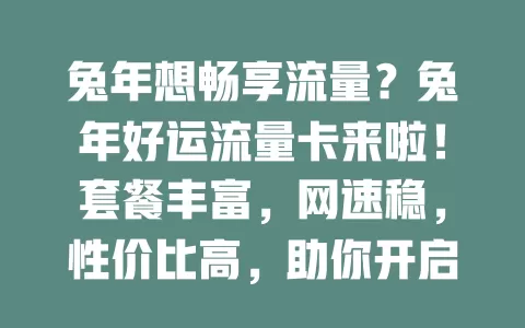 兔年想畅享流量？兔年好运流量卡来啦！套餐丰富，网速稳，性价比高，助你开启好运上网之旅