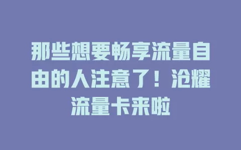 那些想要畅享流量自由的人注意了！沧耀流量卡来啦